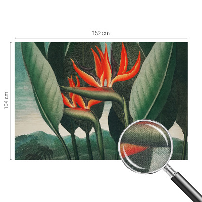 Fotomurale per cameretta Fiori esotici