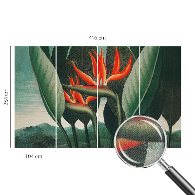 Fotomurale per cameretta Fiori esotici