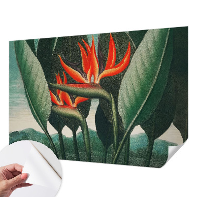 Fotomurale per cameretta Fiori esotici