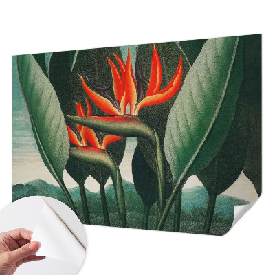 Fotomurale per cameretta Fiori esotici