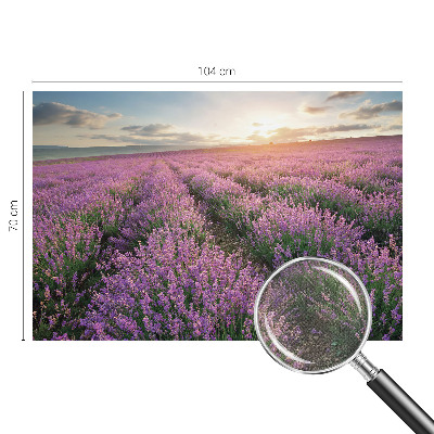 Fotomurale adesivo Campi di lavanda