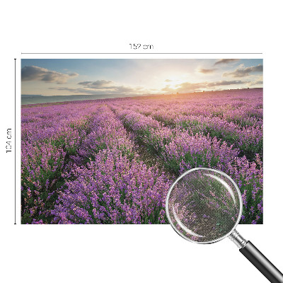 Fotomurale adesivo Campi di lavanda