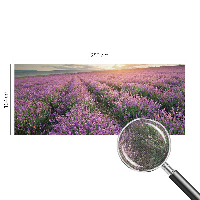 Fotomurale adesivo Campi di lavanda