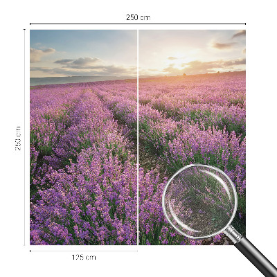 Fotomurale adesivo Campi di lavanda