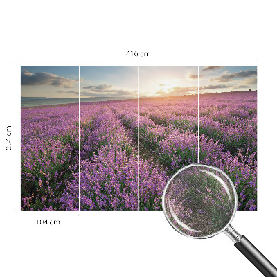 Fotomurale adesivo Campi di lavanda