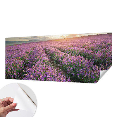 Fotomurale adesivo Campi di lavanda