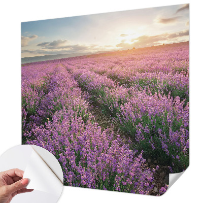 Fotomurale adesivo Campi di lavanda