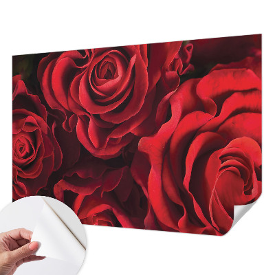 Carta da parati 3D Rose rosse