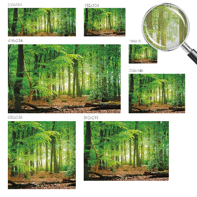 Fotomurale 3D Foresta verde