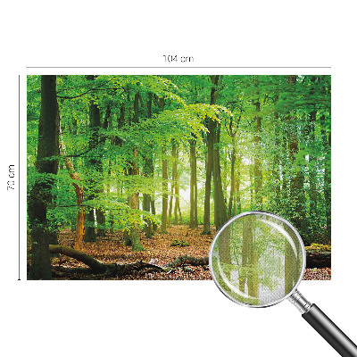 Fotomurale 3D Foresta verde