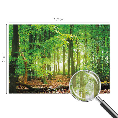 Fotomurale 3D Foresta verde