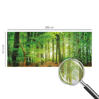 Fotomurale 3D Foresta verde