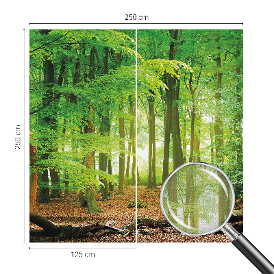 Fotomurale 3D Foresta verde