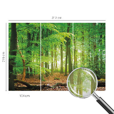 Fotomurale 3D Foresta verde