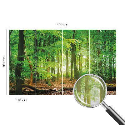 Fotomurale 3D Foresta verde