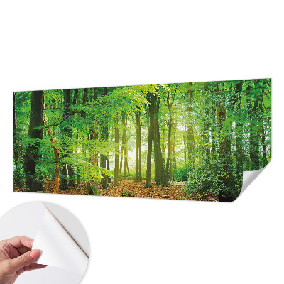 Fotomurale 3D Foresta verde
