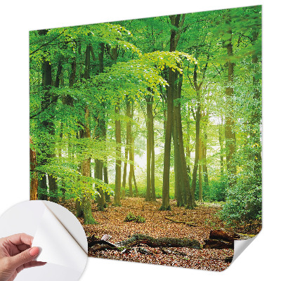 Fotomurale 3D Foresta verde