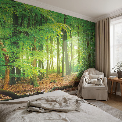 Fotomurale 3D Foresta verde