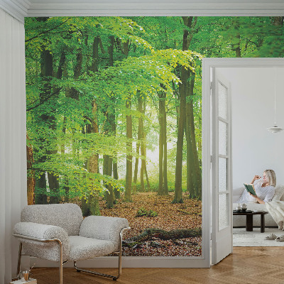 Fotomurale 3D Foresta verde