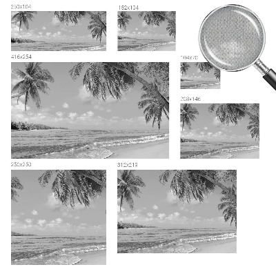 Fotomurale effetto 3D Paradiso tropicale