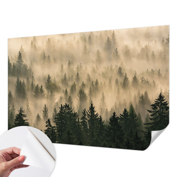 Fotomurale per cameretta Nebbia forestale