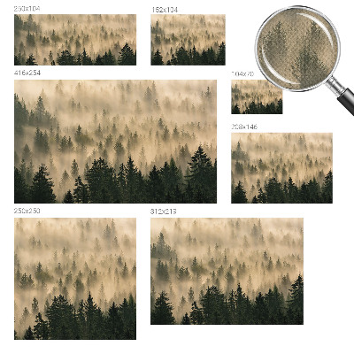 Fotomurale per cameretta Nebbia forestale