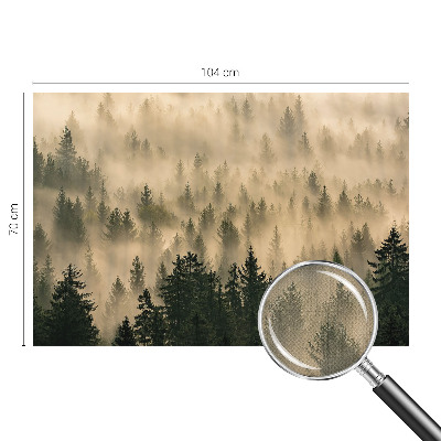 Fotomurale per cameretta Nebbia forestale