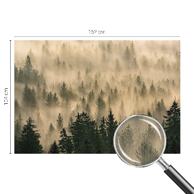 Fotomurale per cameretta Nebbia forestale