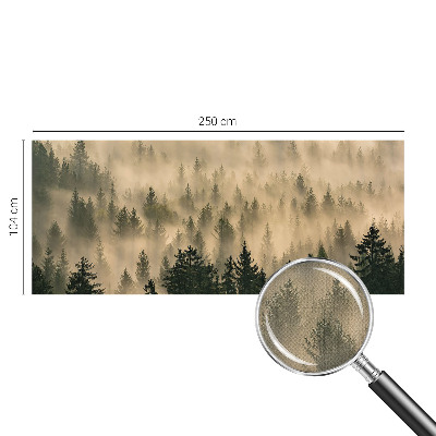 Fotomurale per cameretta Nebbia forestale