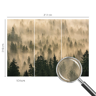 Fotomurale per cameretta Nebbia forestale
