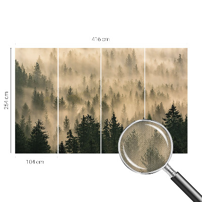 Fotomurale per cameretta Nebbia forestale