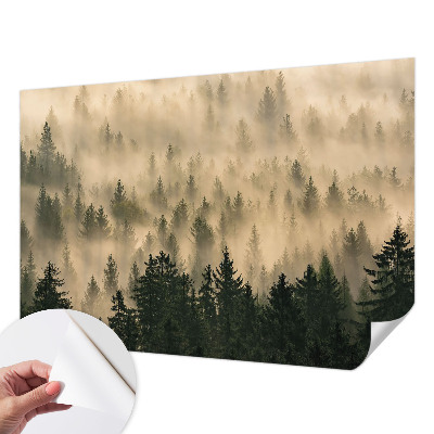Fotomurale per cameretta Nebbia forestale