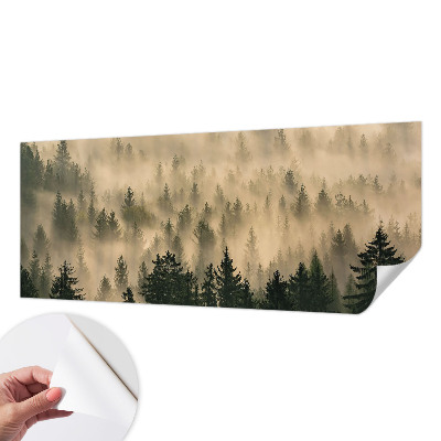 Fotomurale per cameretta Nebbia forestale