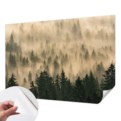 Fotomurale per cameretta Nebbia forestale