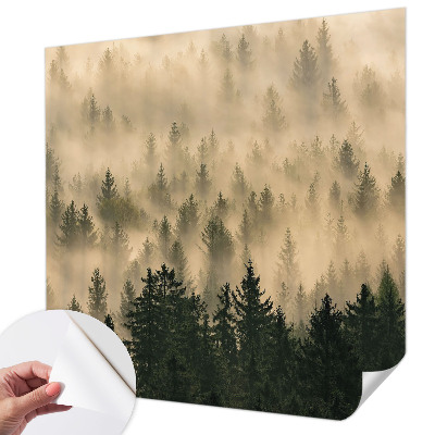 Fotomurale per cameretta Nebbia forestale