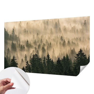 Fotomurale per cameretta Nebbia forestale