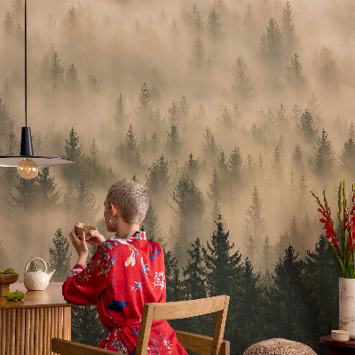 Fotomurale per cameretta Nebbia forestale