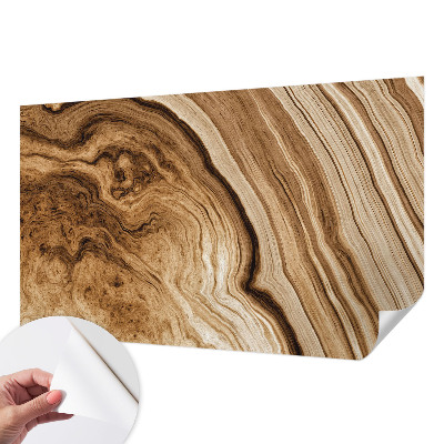 Carta da parati 3D Graniglia di legno