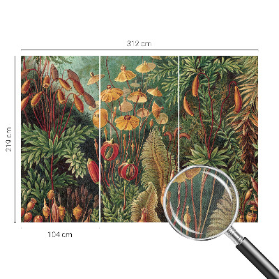 Fotomurale effetto 3D Giardino esotico