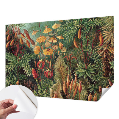 Fotomurale effetto 3D Giardino esotico