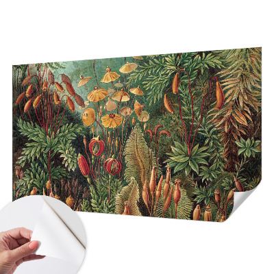 Fotomurale effetto 3D Giardino esotico