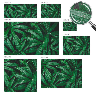 Carta da parati per cameretta vegetazione naturale