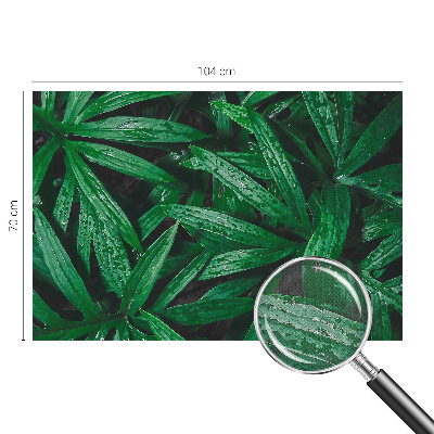 Carta da parati per cameretta vegetazione naturale