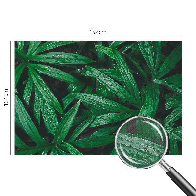 Carta da parati per cameretta vegetazione naturale