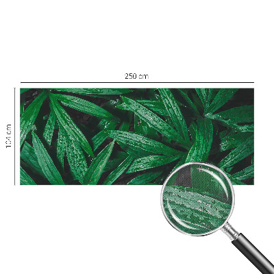 Carta da parati per cameretta vegetazione naturale