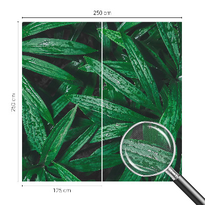 Carta da parati per cameretta vegetazione naturale