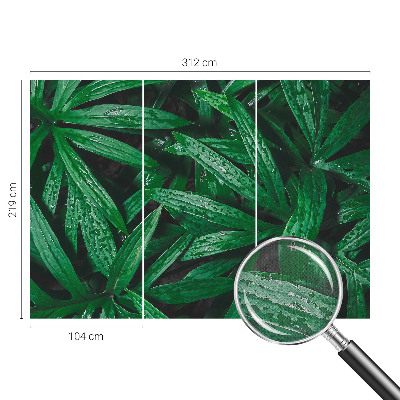 Carta da parati per cameretta vegetazione naturale