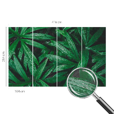 Carta da parati per cameretta vegetazione naturale