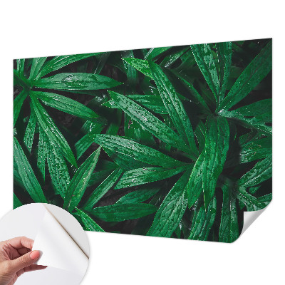 Carta da parati per cameretta vegetazione naturale