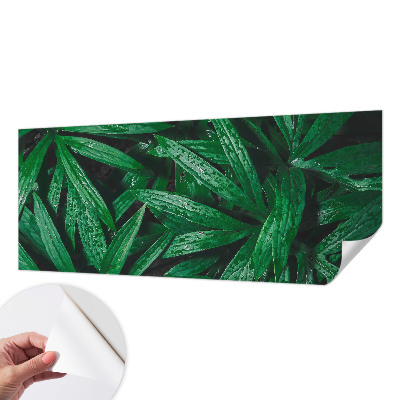 Carta da parati per cameretta vegetazione naturale